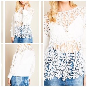 Long Sleeve Sheer LaceTop With Ruffle Sleeve